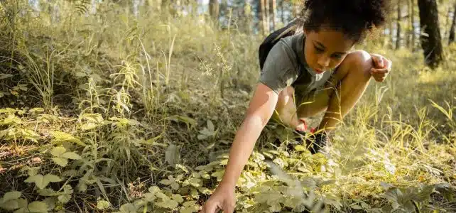 Les meilleures activités à partager avec une jeune aventurière de 10 ans